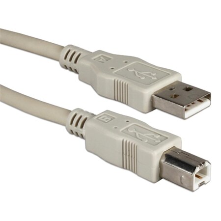 Qvs QVS CC2209-06 6 ft. USB 2.0 High-Speed Type A Male to B Male Beige Cable CC2209-06